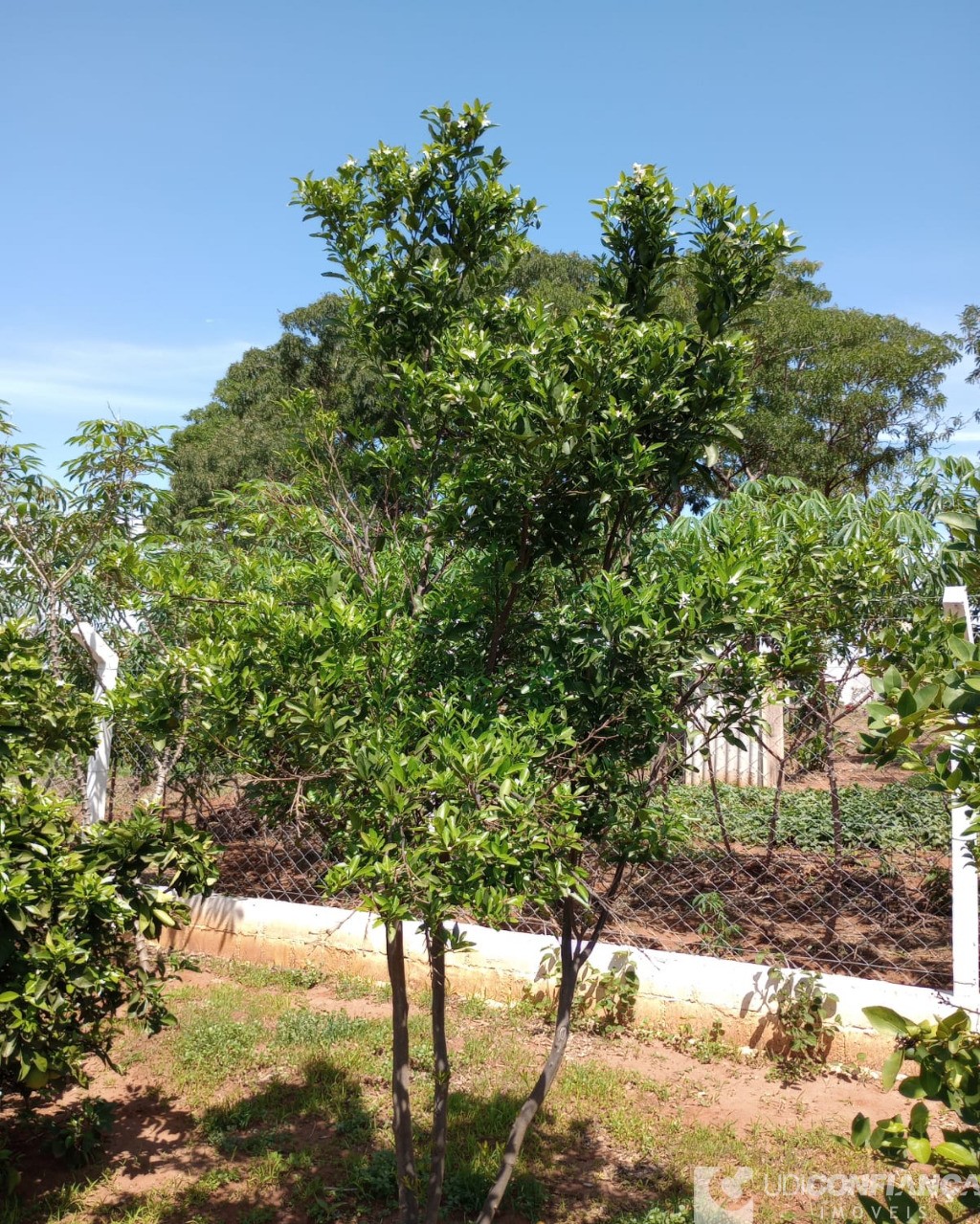 Fazenda à venda, 216m² - Foto 21