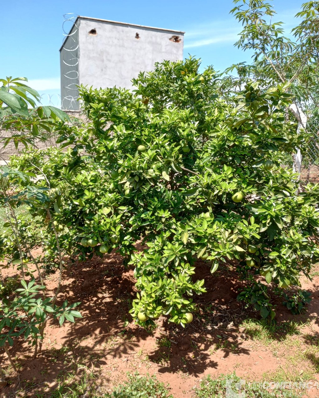 Fazenda à venda, 216m² - Foto 18