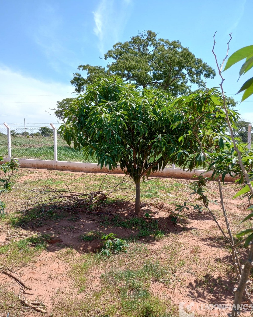 Fazenda à venda, 216m² - Foto 24