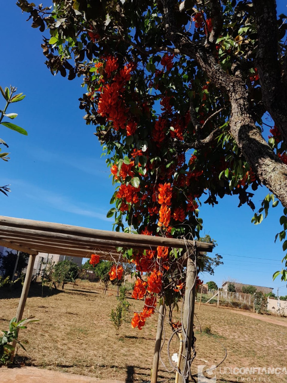 Fazenda à venda com 3 quartos - Foto 4