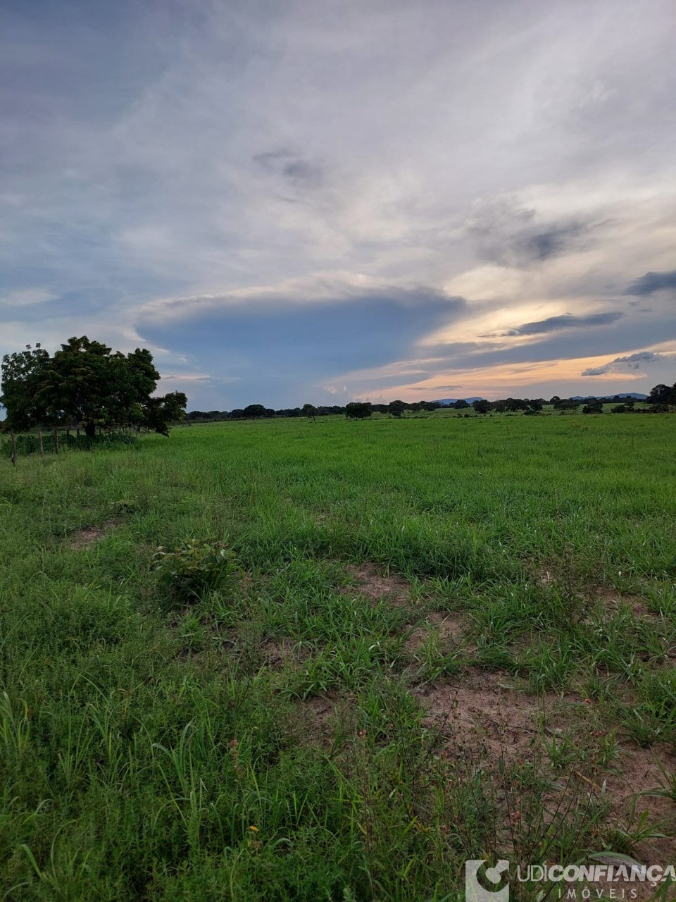 Fazenda à venda - Foto 42