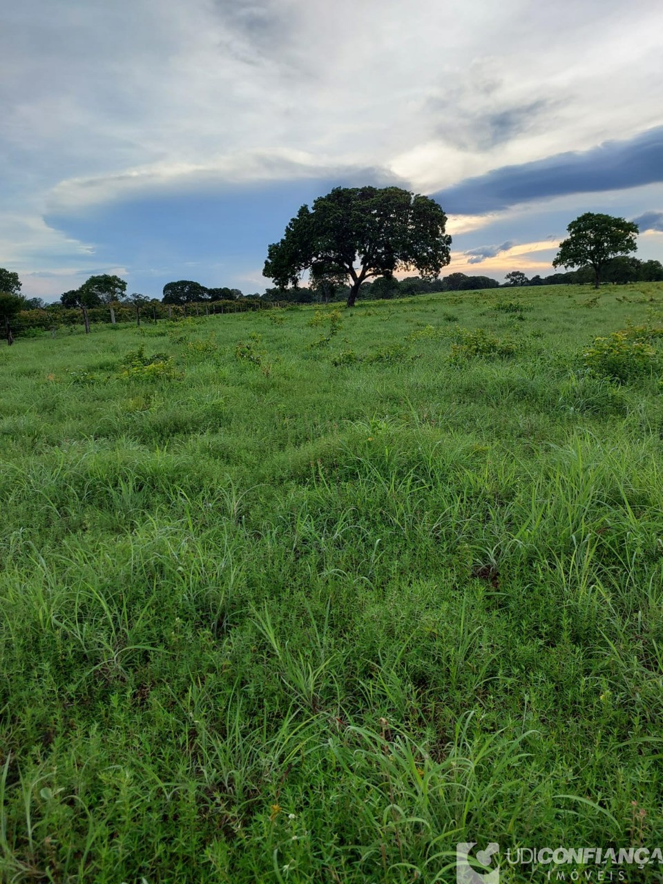 Fazenda à venda - Foto 47