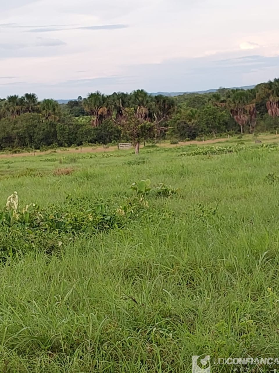 Fazenda à venda - Foto 30