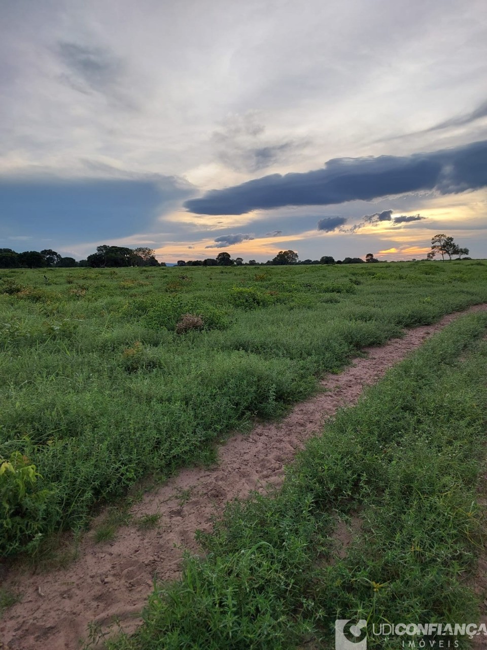 Fazenda à venda - Foto 45