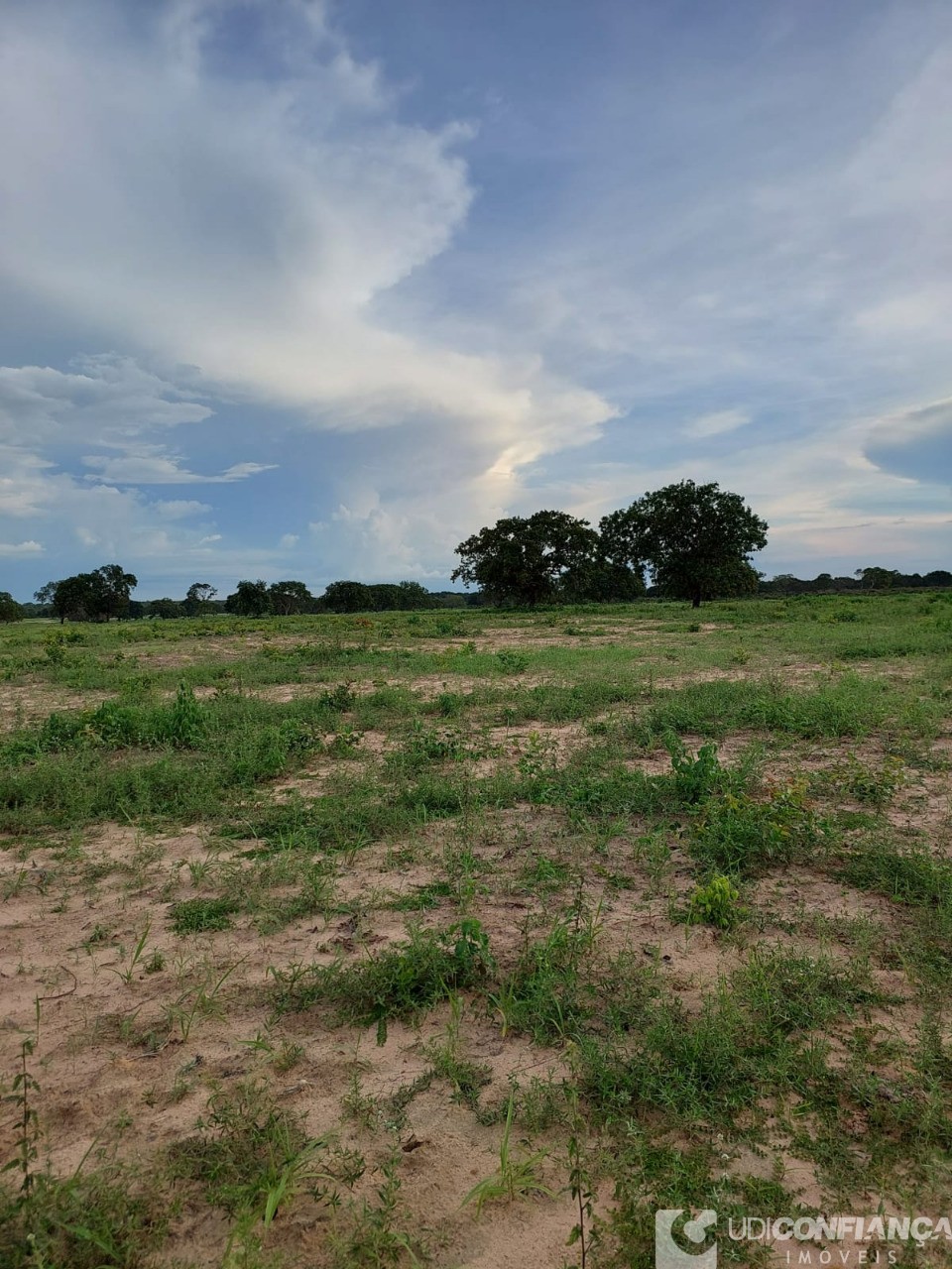 Fazenda à venda - Foto 9