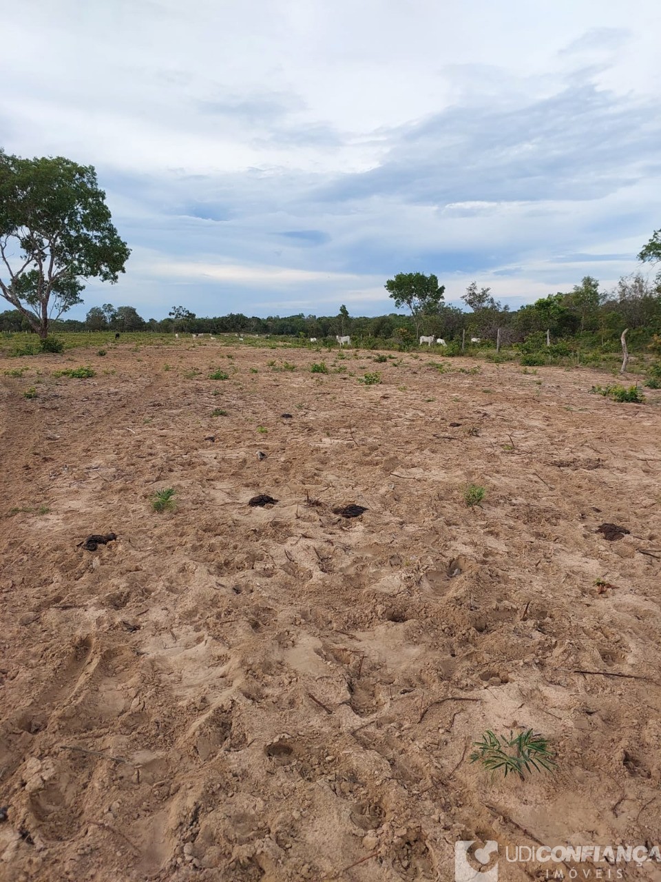 Fazenda à venda - Foto 63