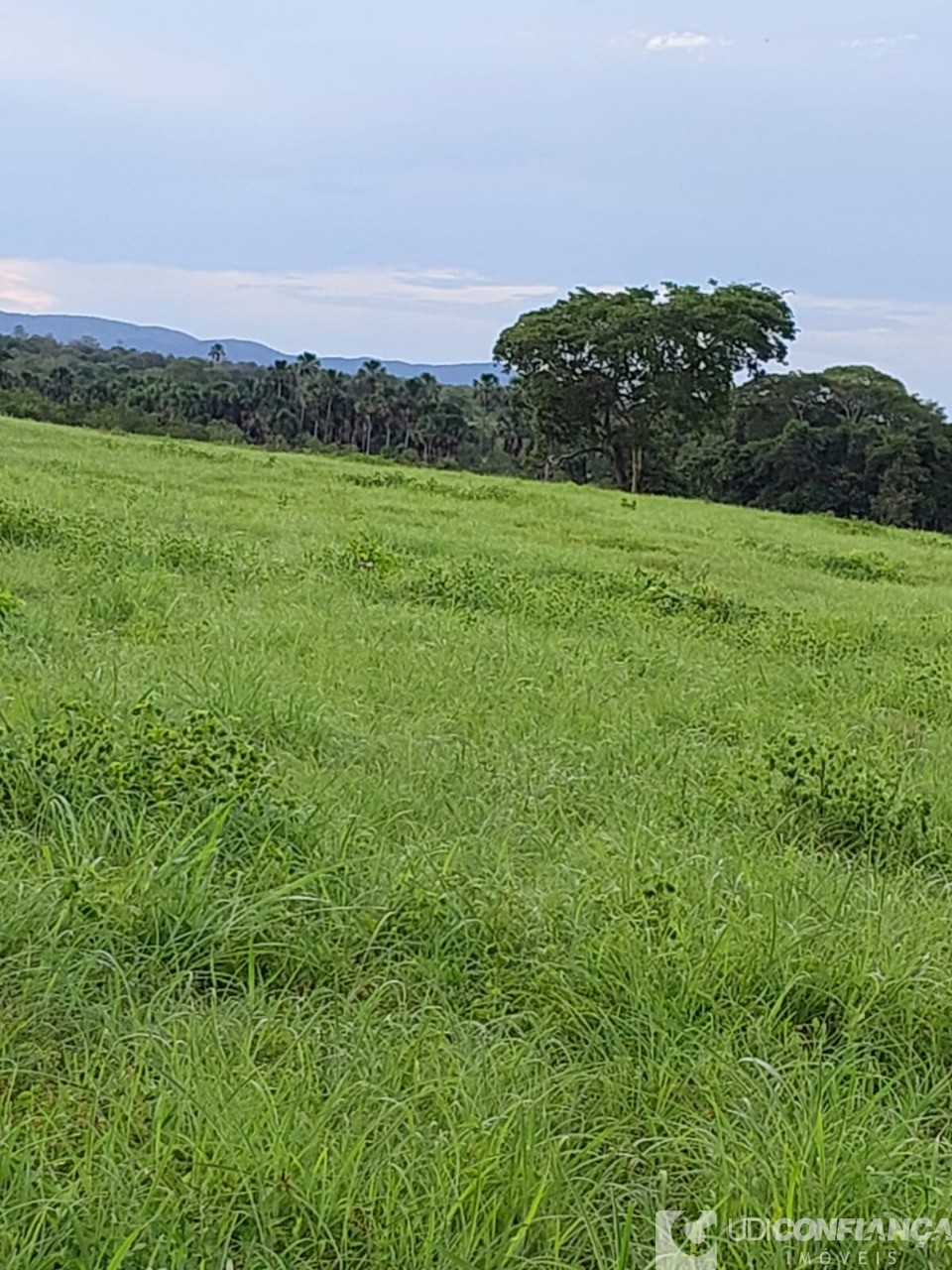 Fazenda à venda - Foto 38