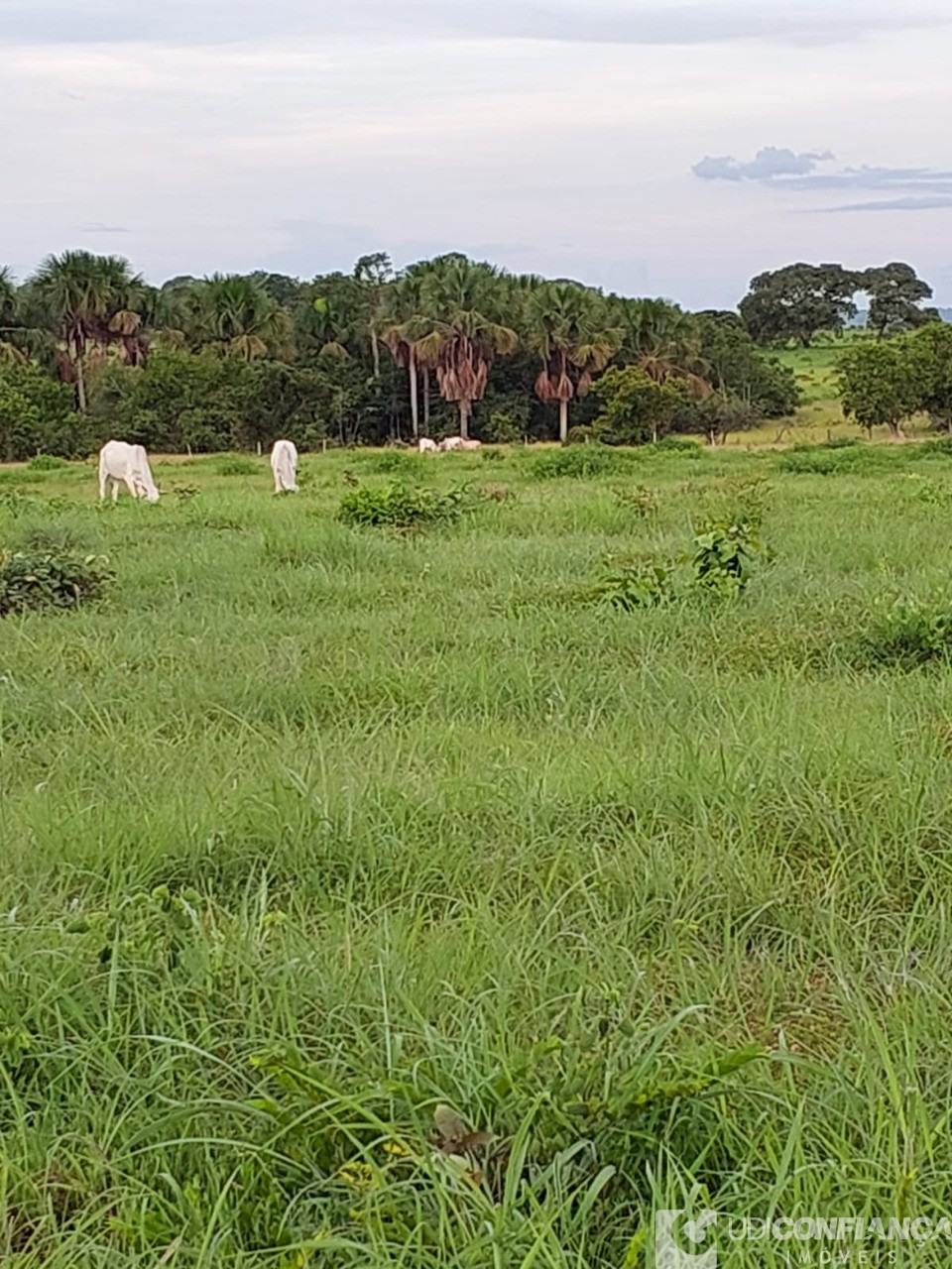 Fazenda à venda - Foto 44