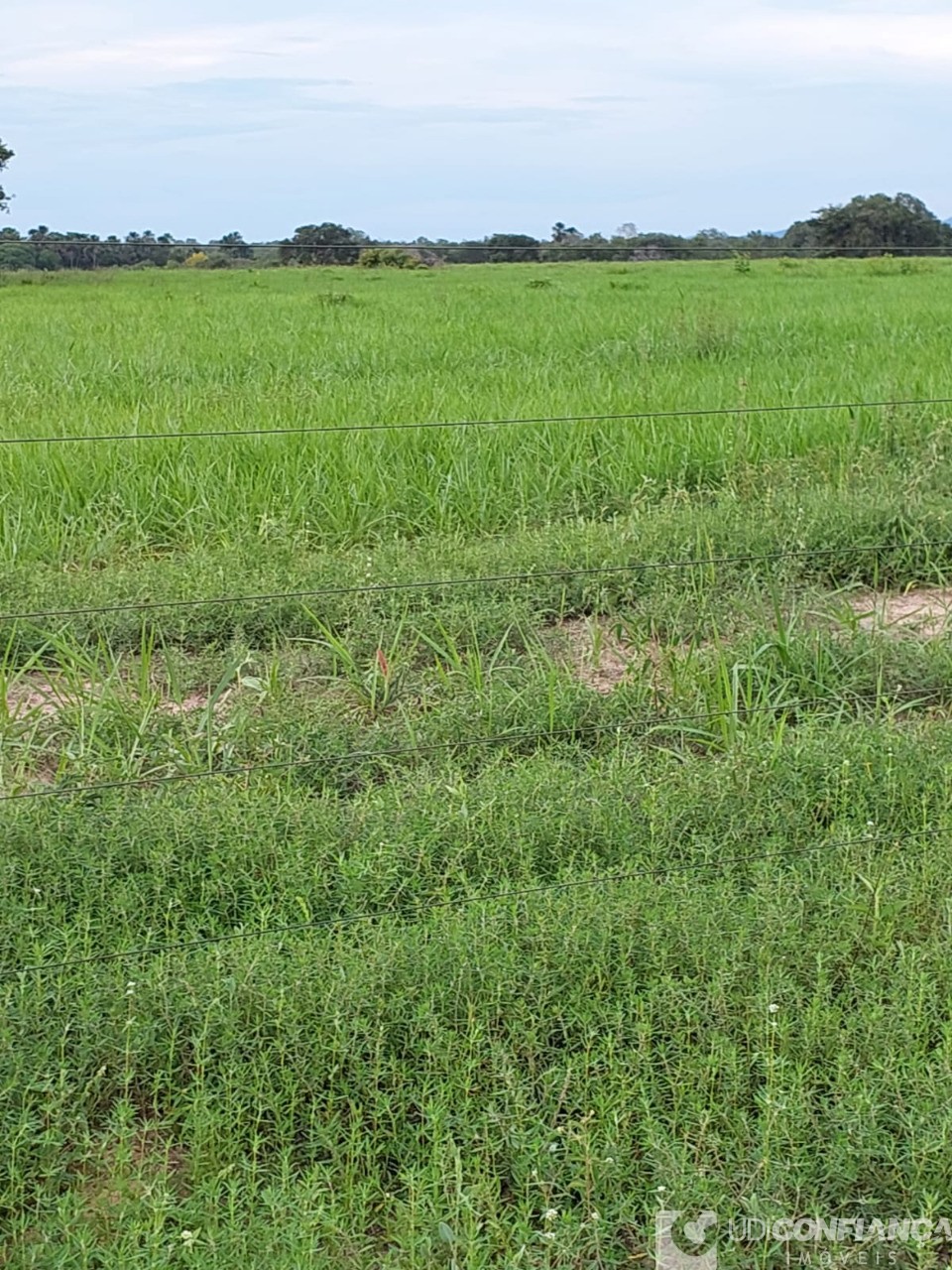 Fazenda à venda - Foto 48