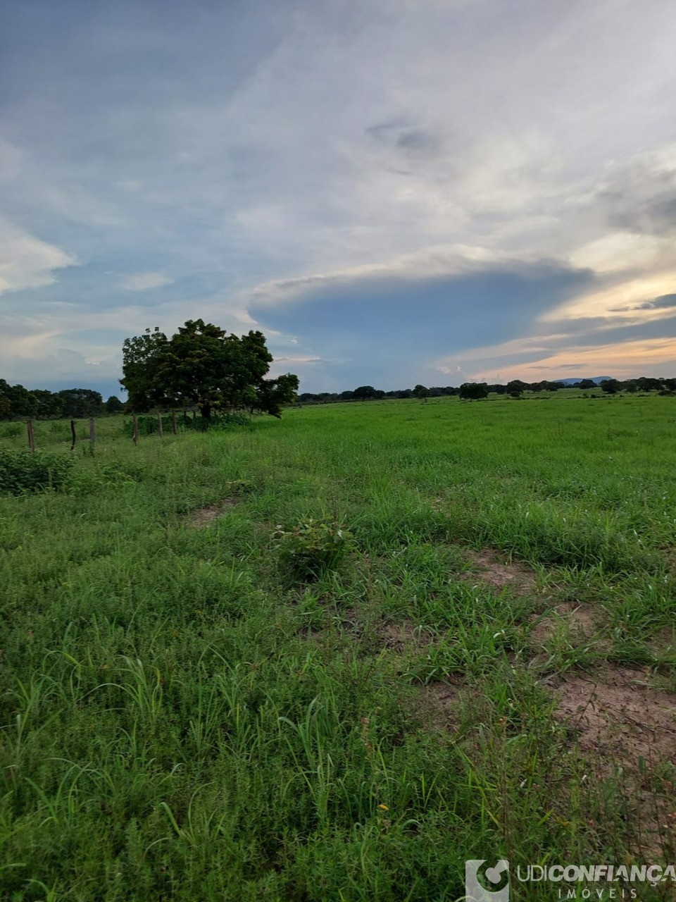 Fazenda à venda - Foto 40