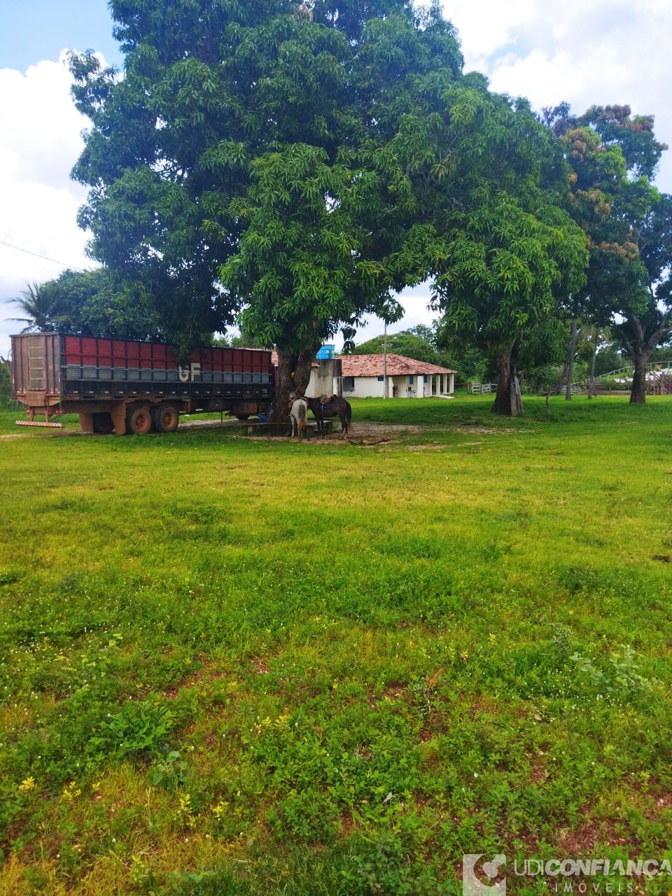 Fazenda à venda - Foto 31