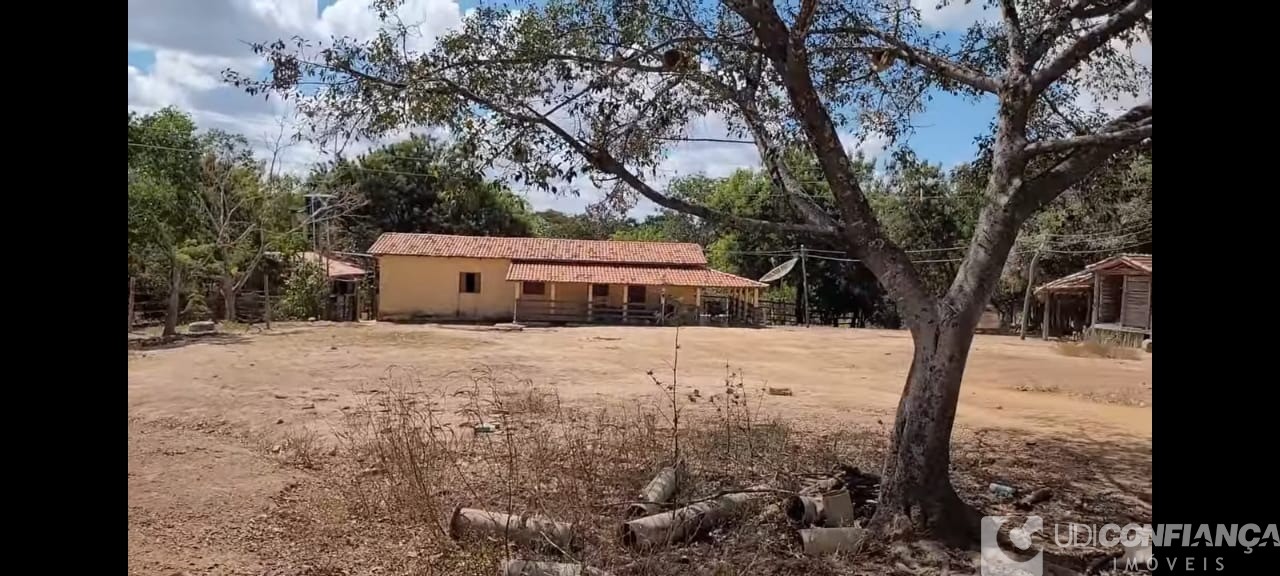 Fazenda à venda com 2 quartos, 165m² - Foto 4