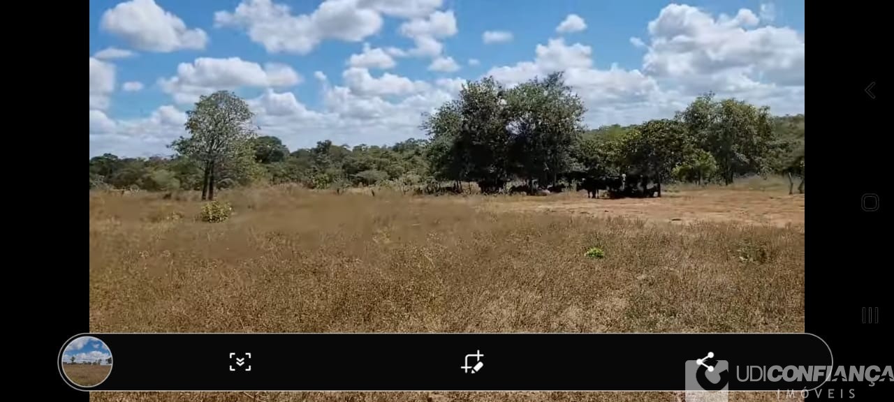 Fazenda à venda com 2 quartos, 165m² - Foto 7