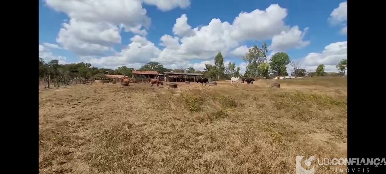 Fazenda à venda com 2 quartos, 165m² - Foto 6