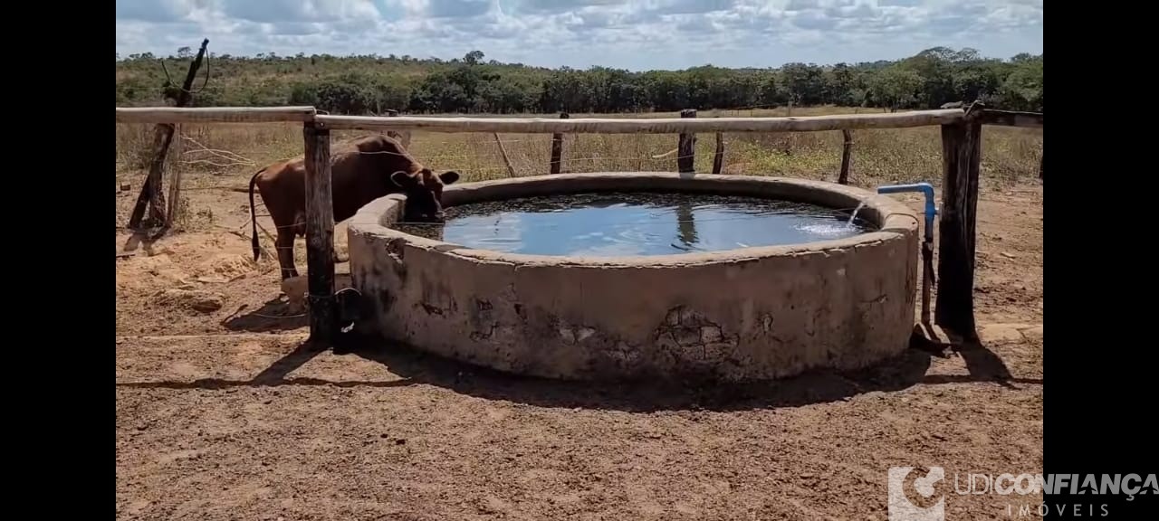 Fazenda à venda com 2 quartos, 165m² - Foto 5