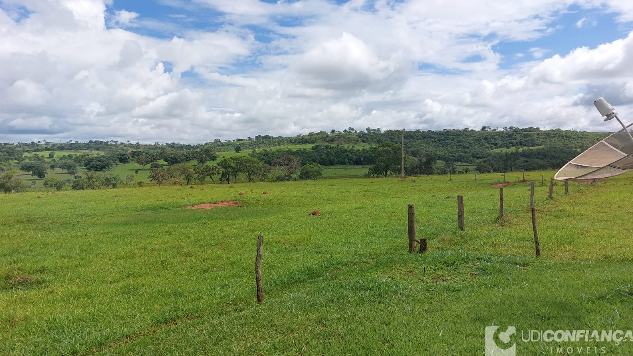 Fazenda à venda - Foto 13