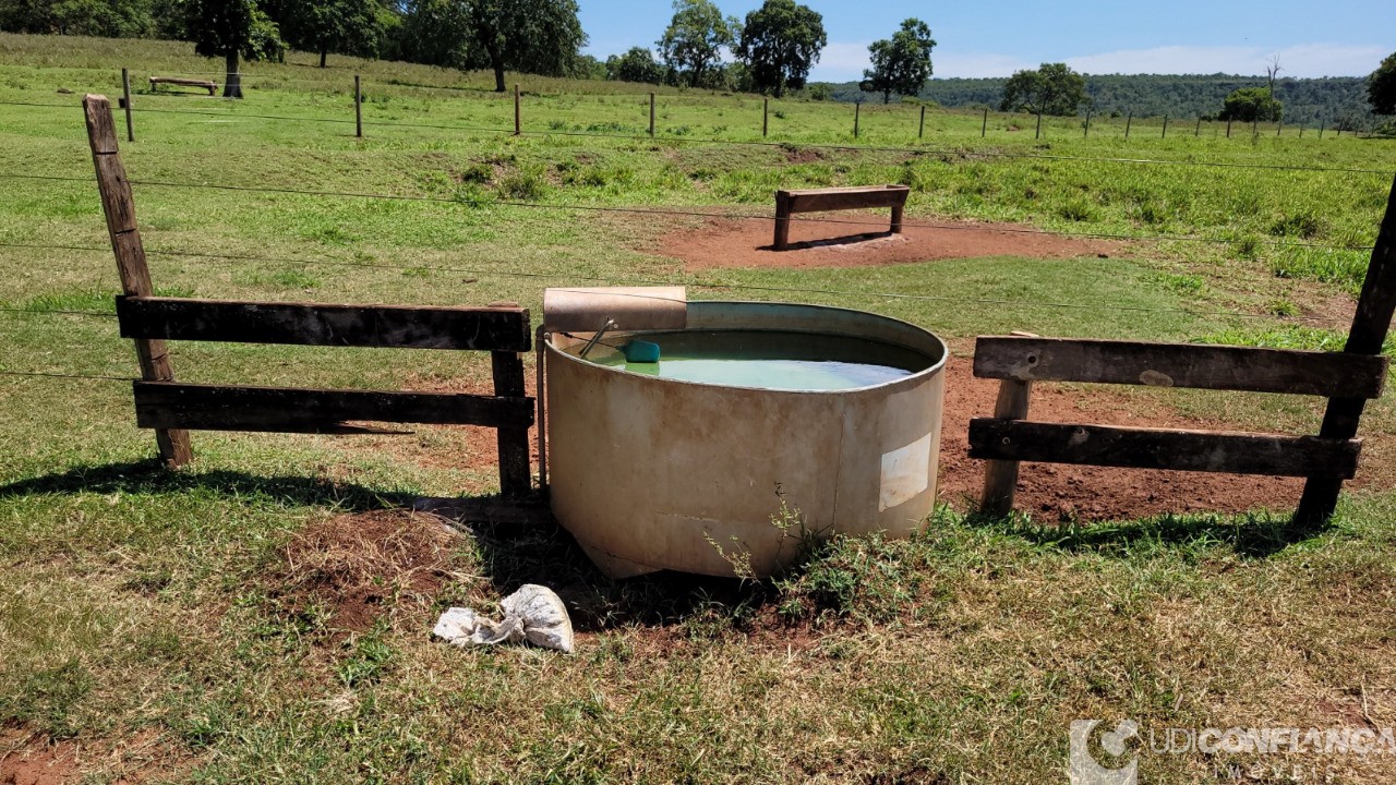 Fazenda à venda - Foto 4