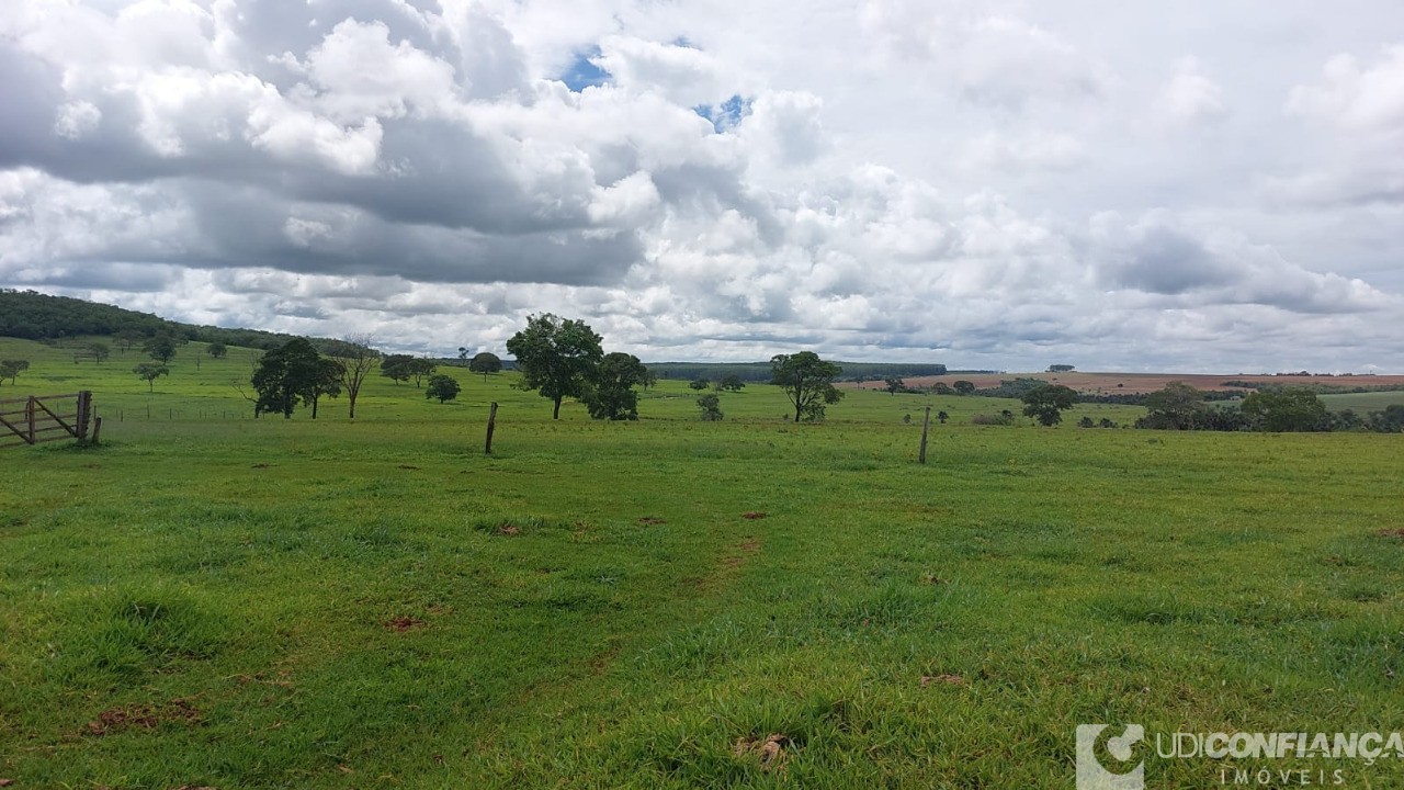 Fazenda à venda - Foto 7