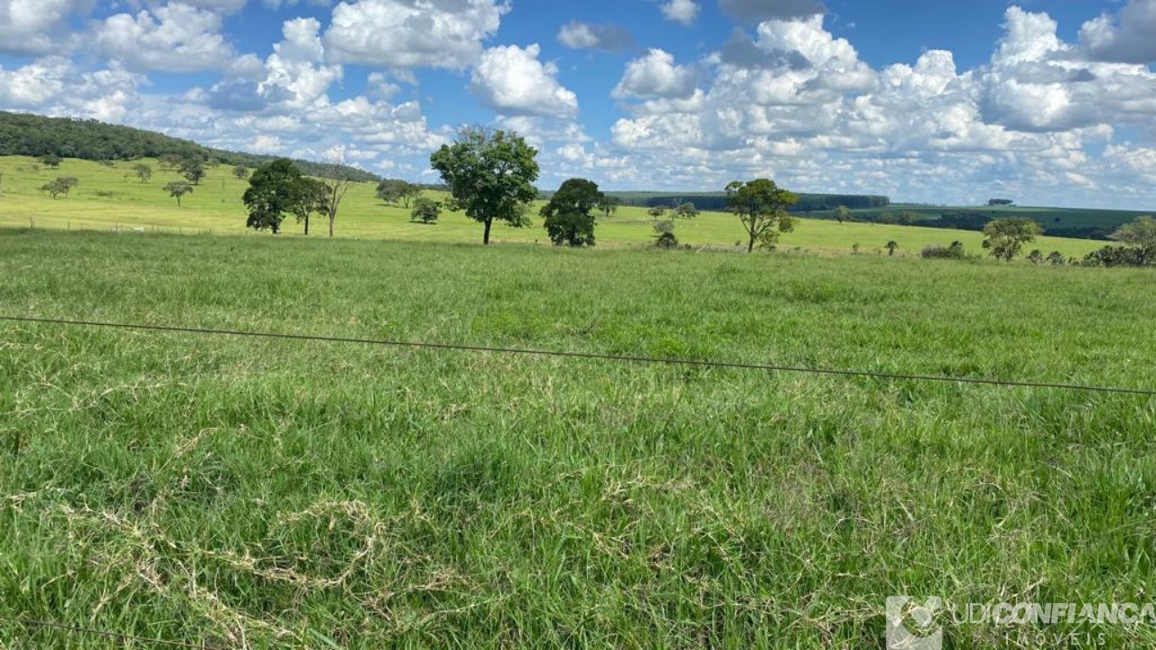 Fazenda à venda - Foto 8