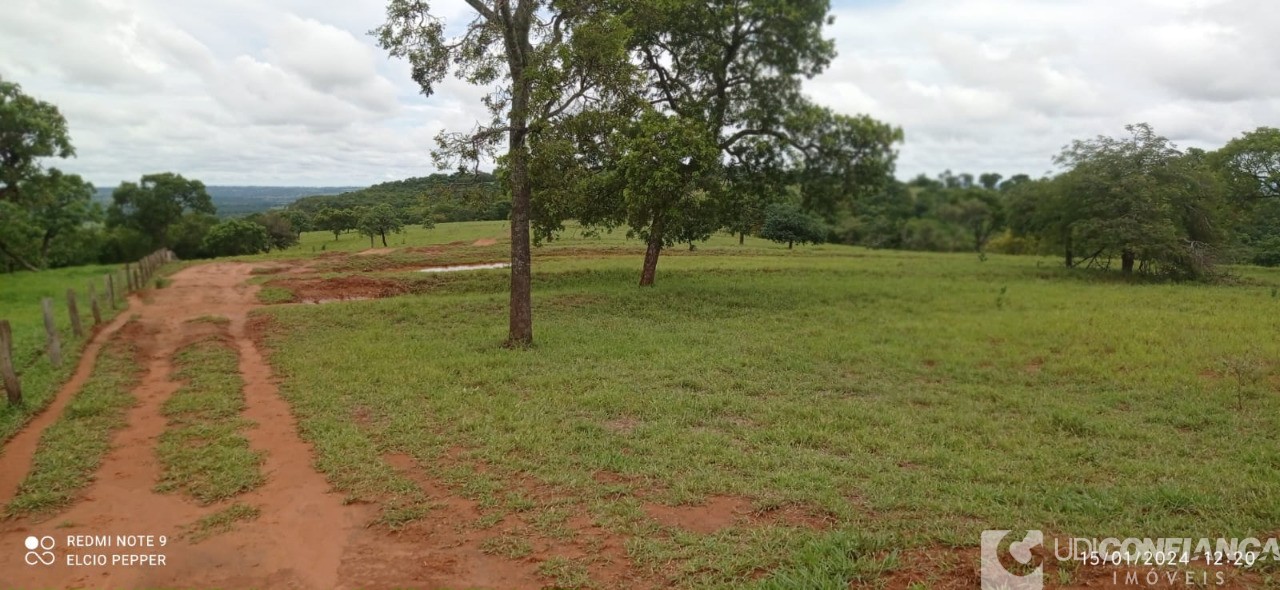 Fazenda à venda - Foto 16