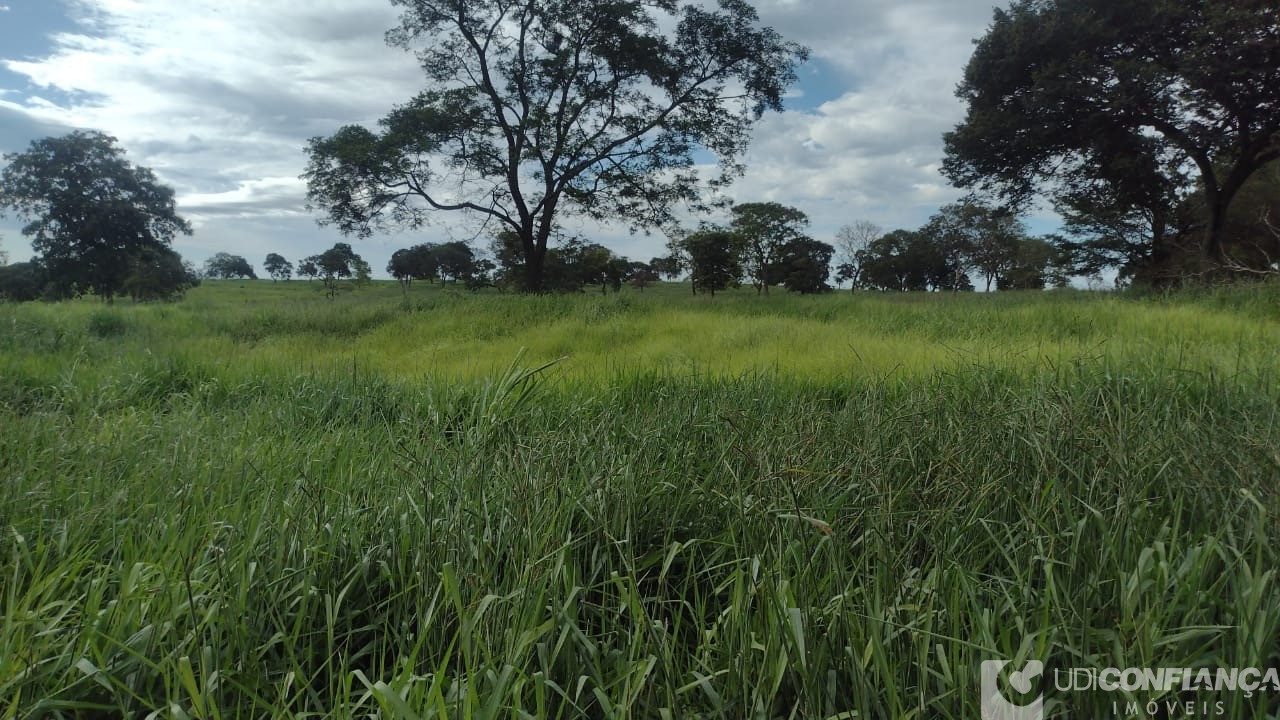 Fazenda à venda - Foto 8