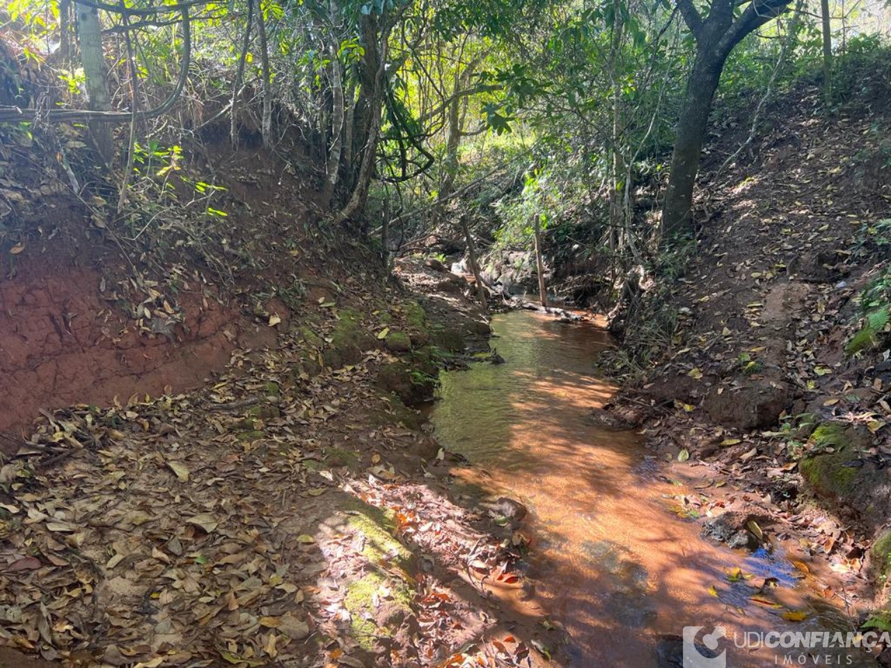 Fazenda à venda - Foto 7