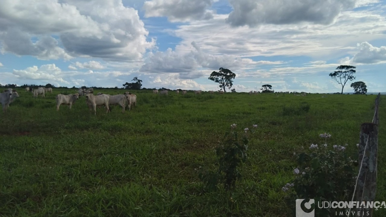 Fazenda à venda - Foto 32