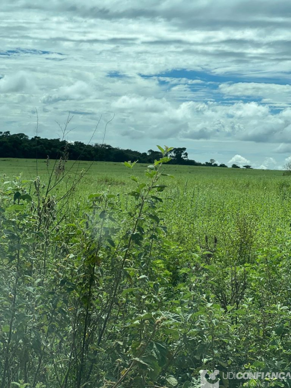 Fazenda à venda - Foto 5