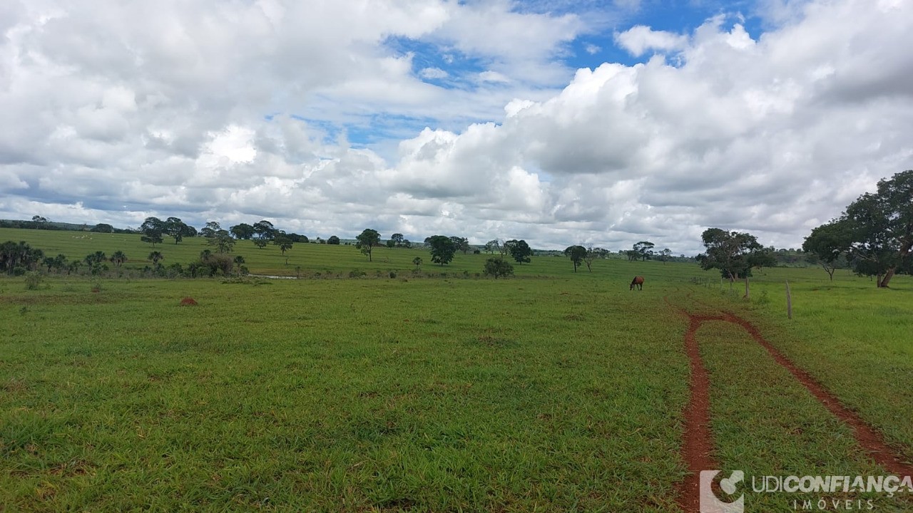 Fazenda à venda - Foto 9