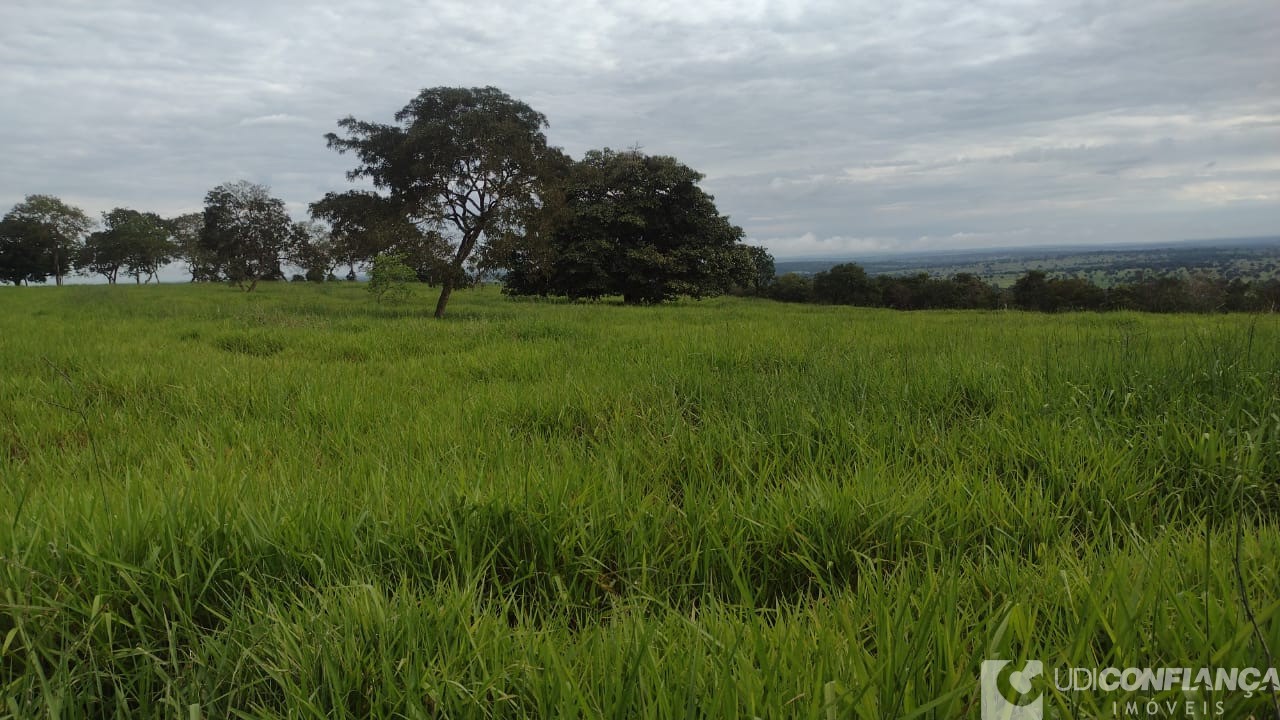 Fazenda à venda - Foto 9