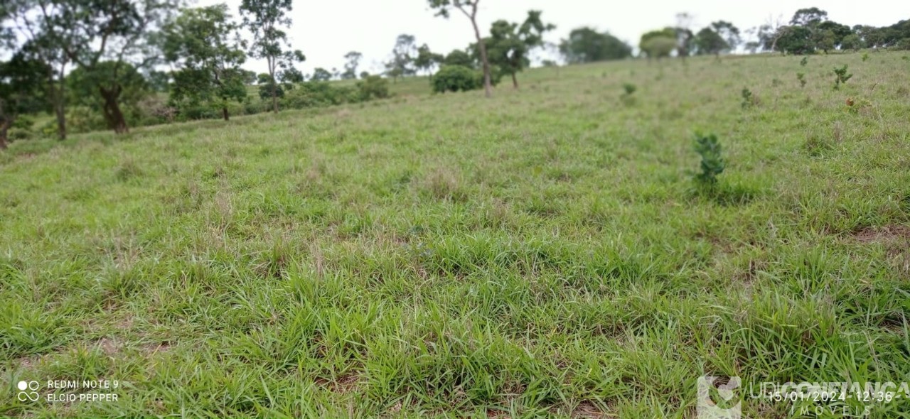 Fazenda à venda - Foto 2