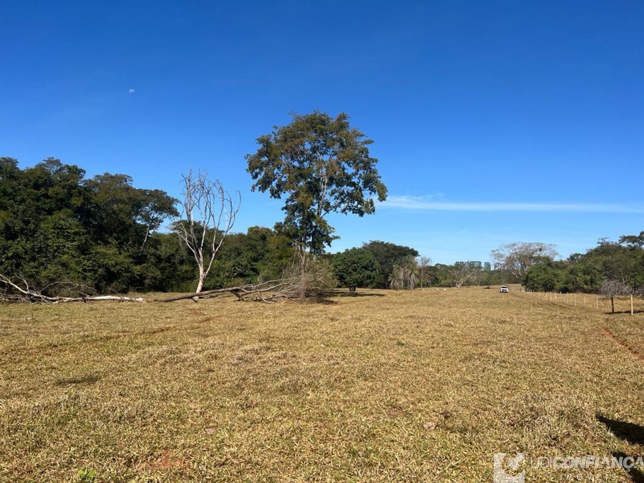 Fazenda à venda - Foto 8