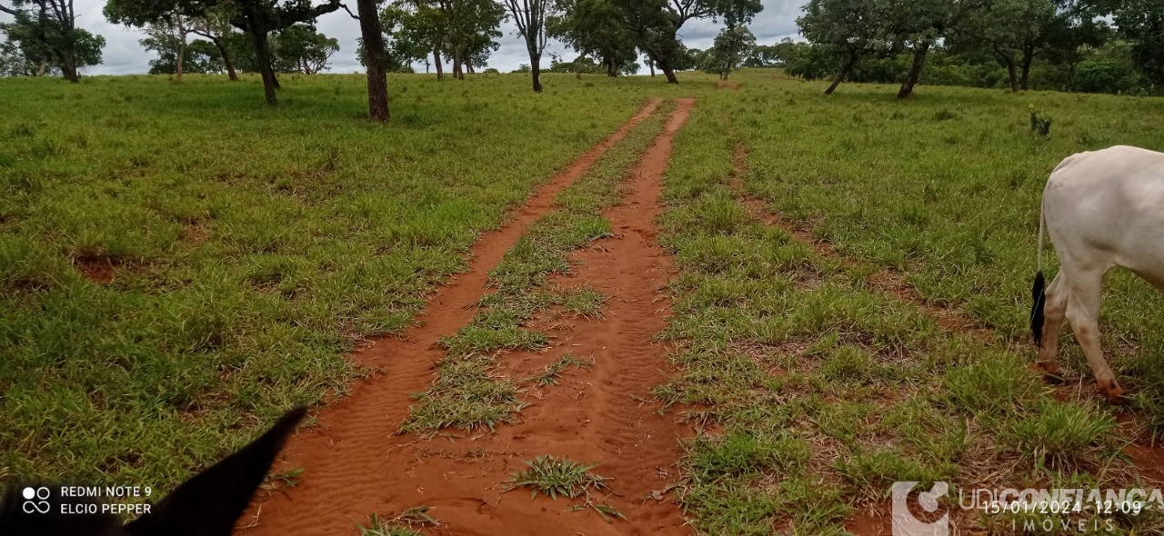 Fazenda à venda - Foto 15