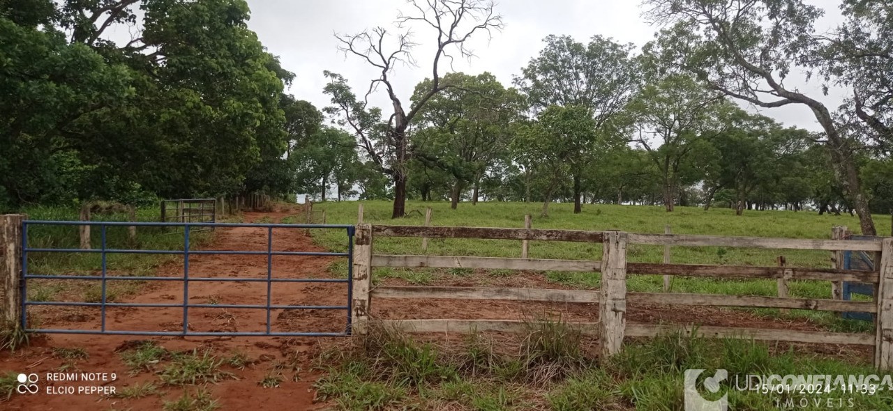 Fazenda à venda - Foto 7