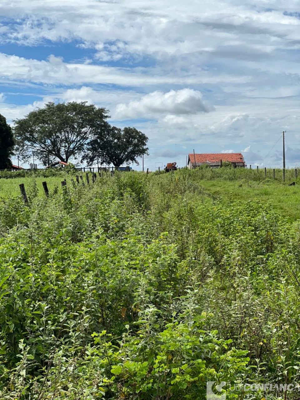 Fazenda à venda - Foto 1