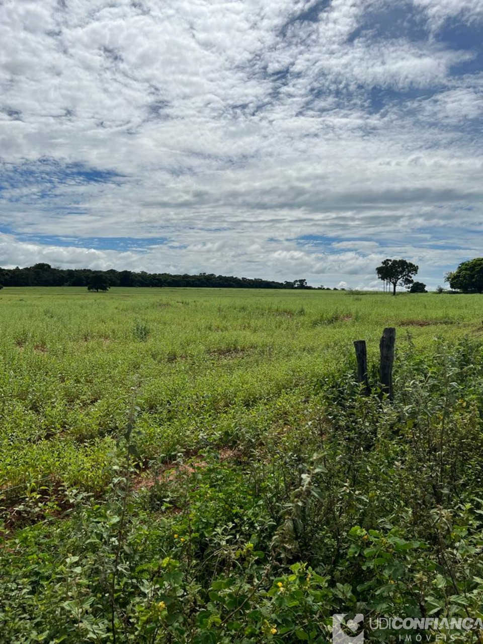 Fazenda à venda - Foto 6