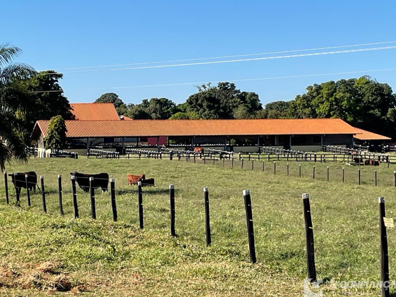 Fazenda à venda - Foto 5