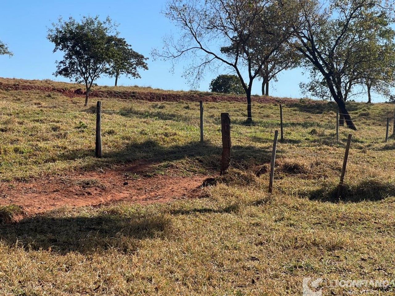 Fazenda à venda - Foto 10