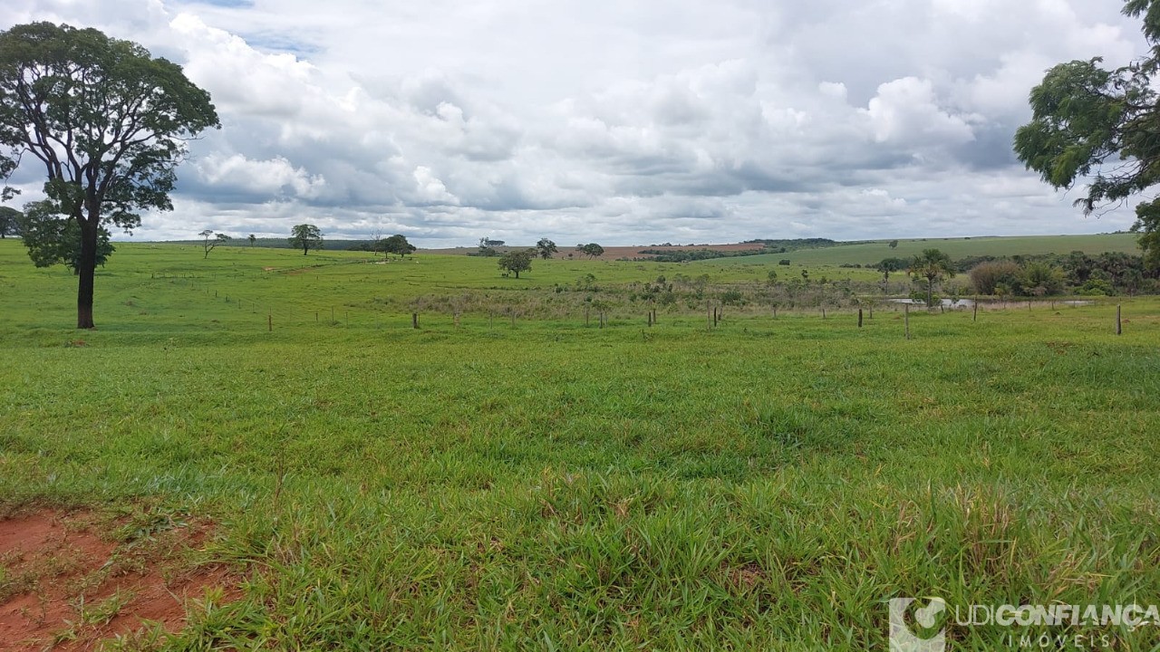 Fazenda à venda - Foto 5