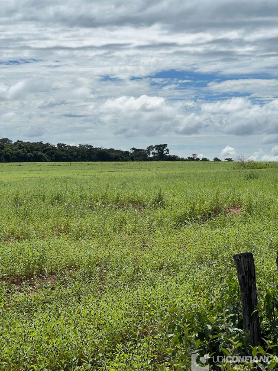 Fazenda à venda - Foto 3