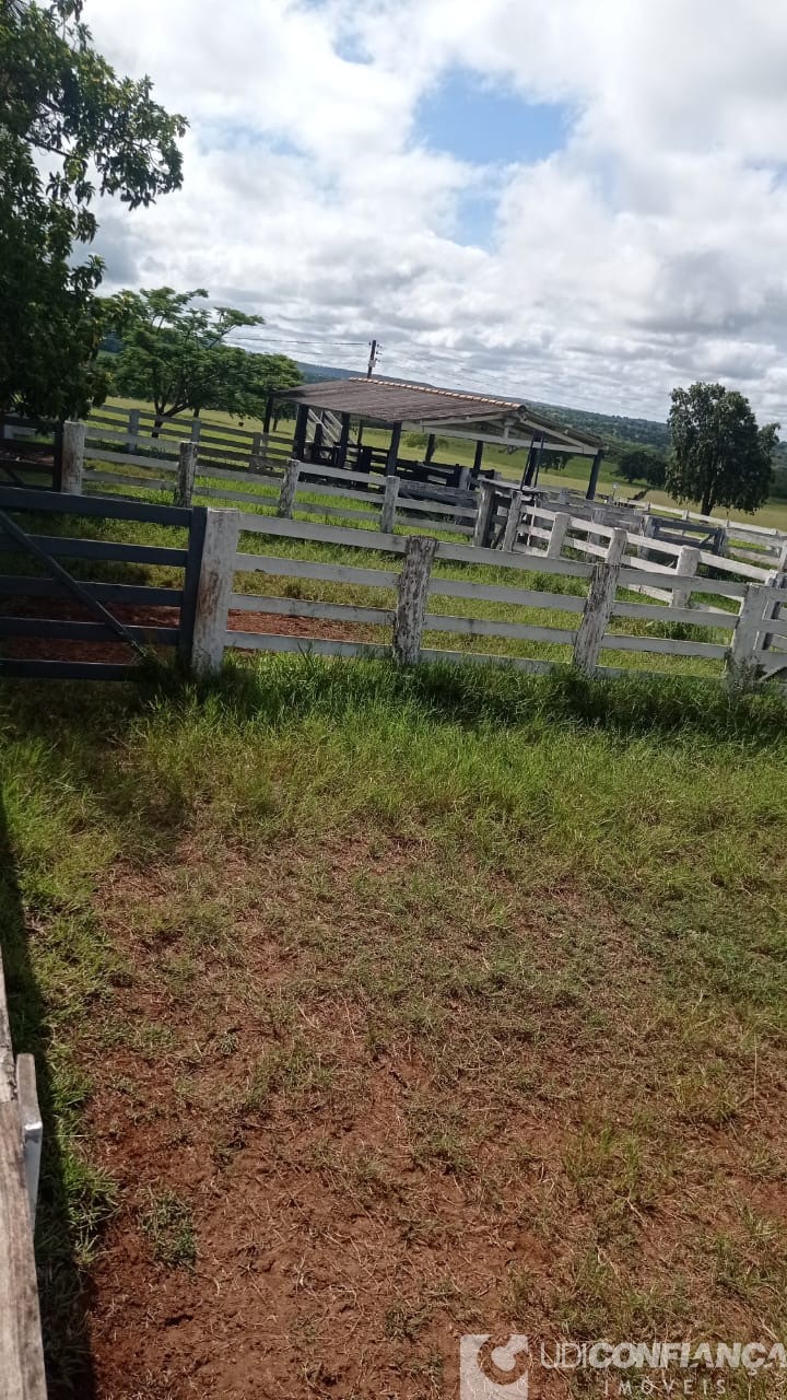 Fazenda à venda - Foto 16