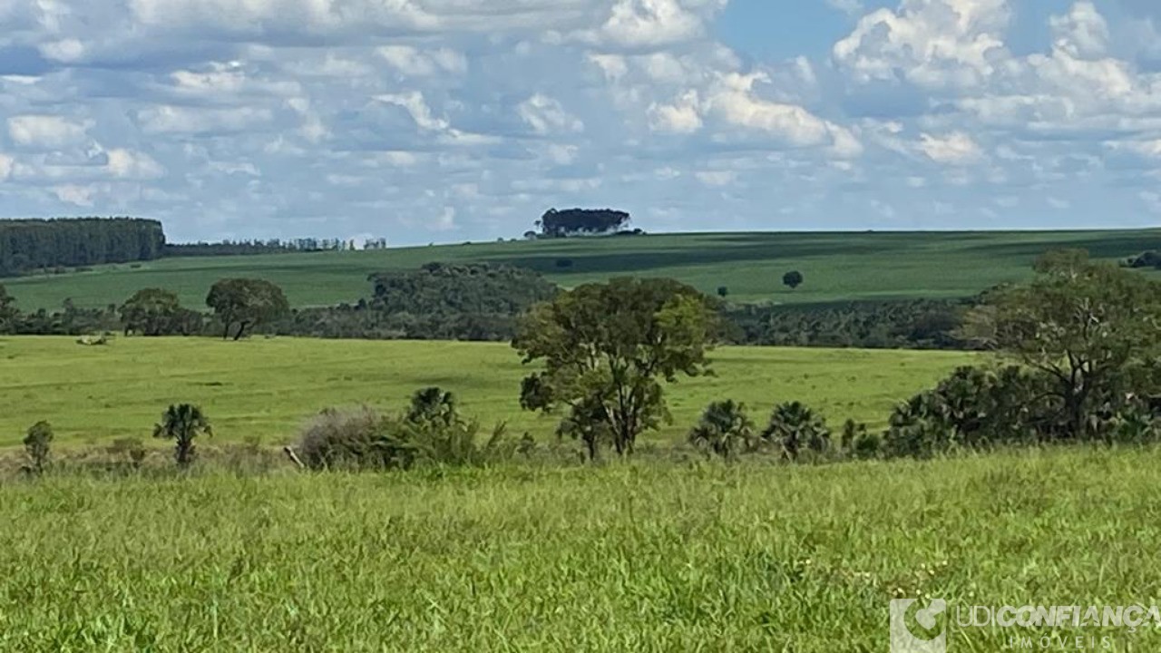 Fazenda à venda - Foto 6