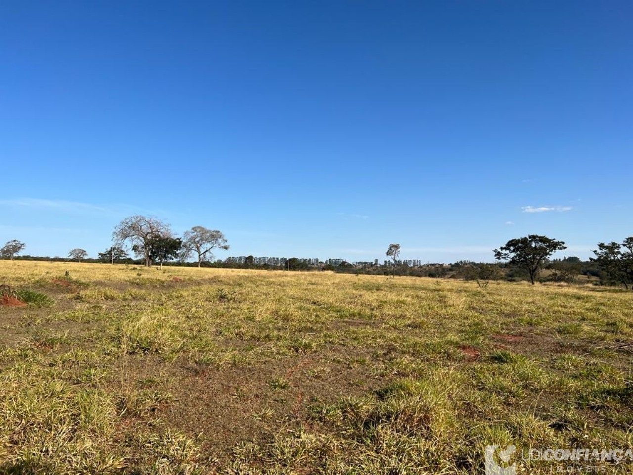 Fazenda à venda - Foto 14