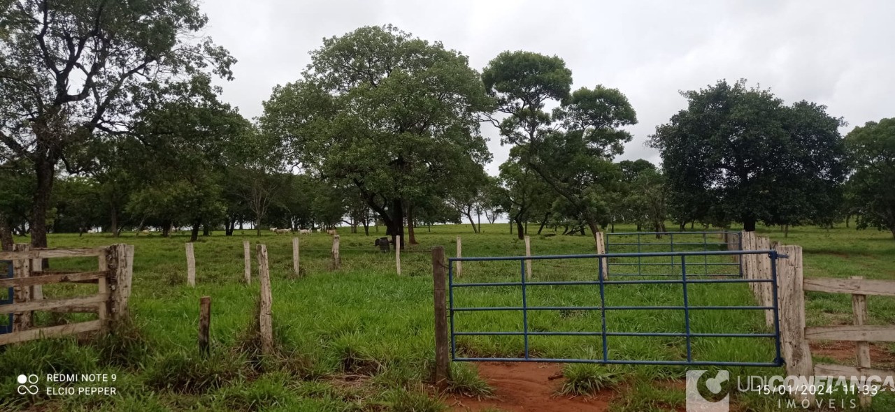 Fazenda à venda - Foto 8