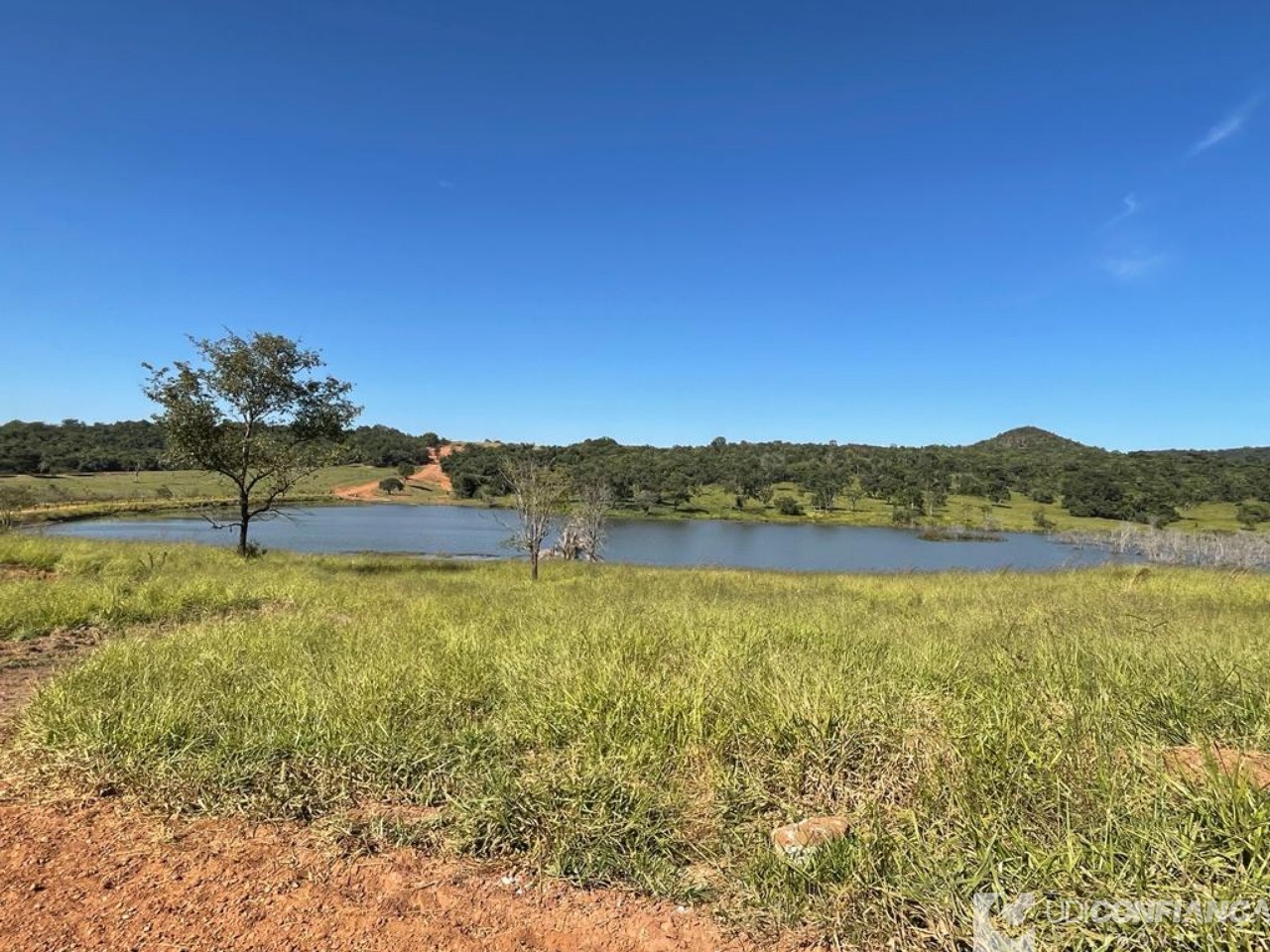 Fazenda à venda - Foto 8