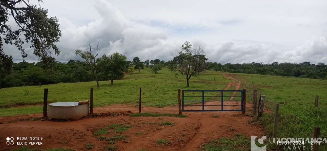 Fazenda à venda - Foto 17