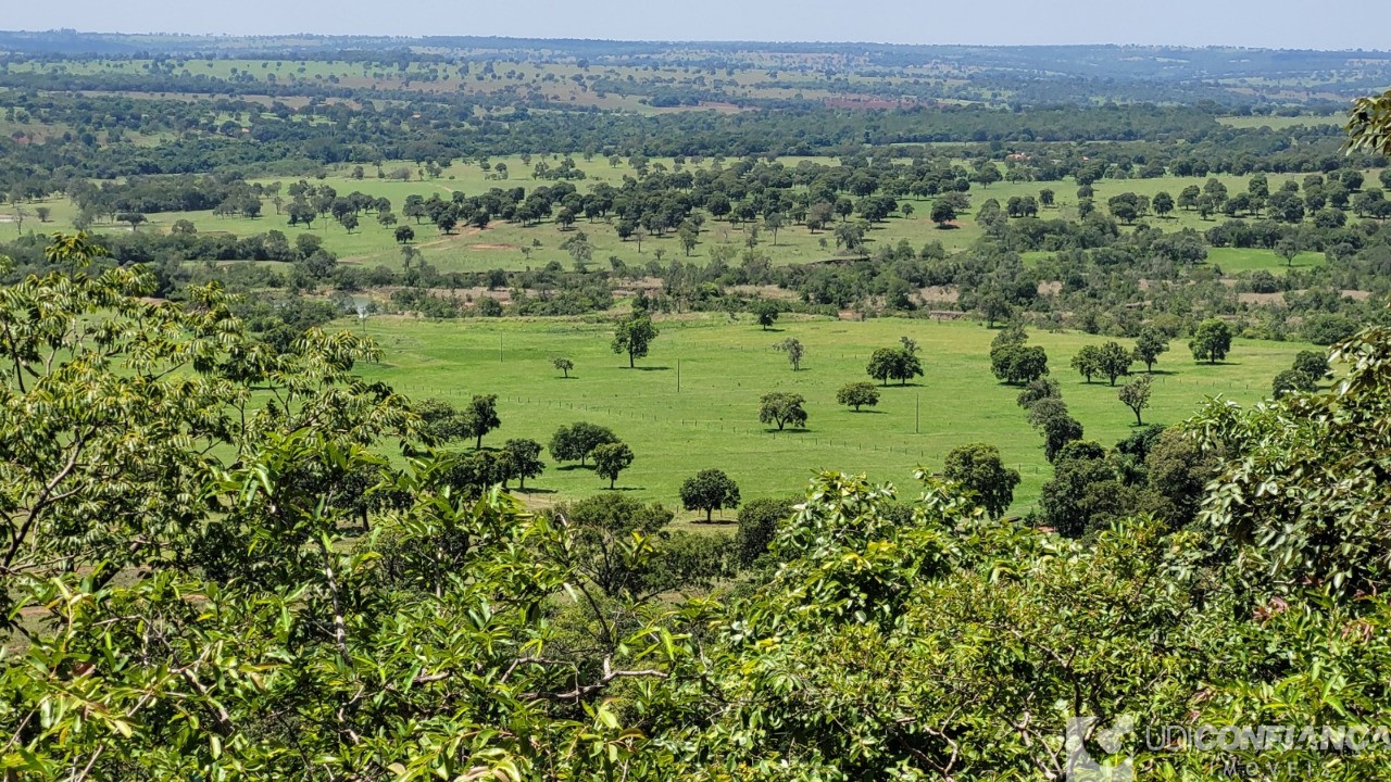 Fazenda à venda - Foto 6