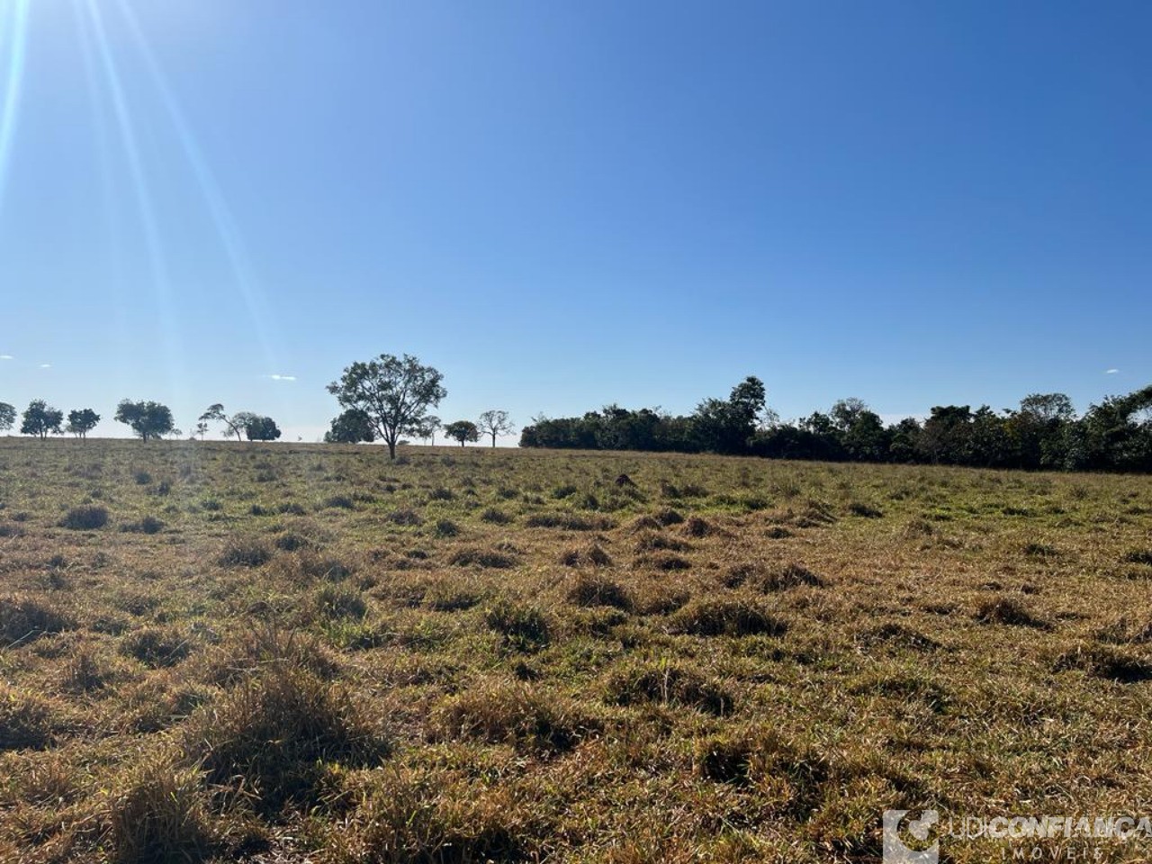 Fazenda à venda - Foto 12