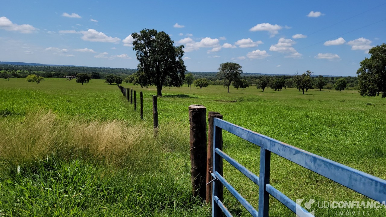 Fazenda à venda - Foto 2