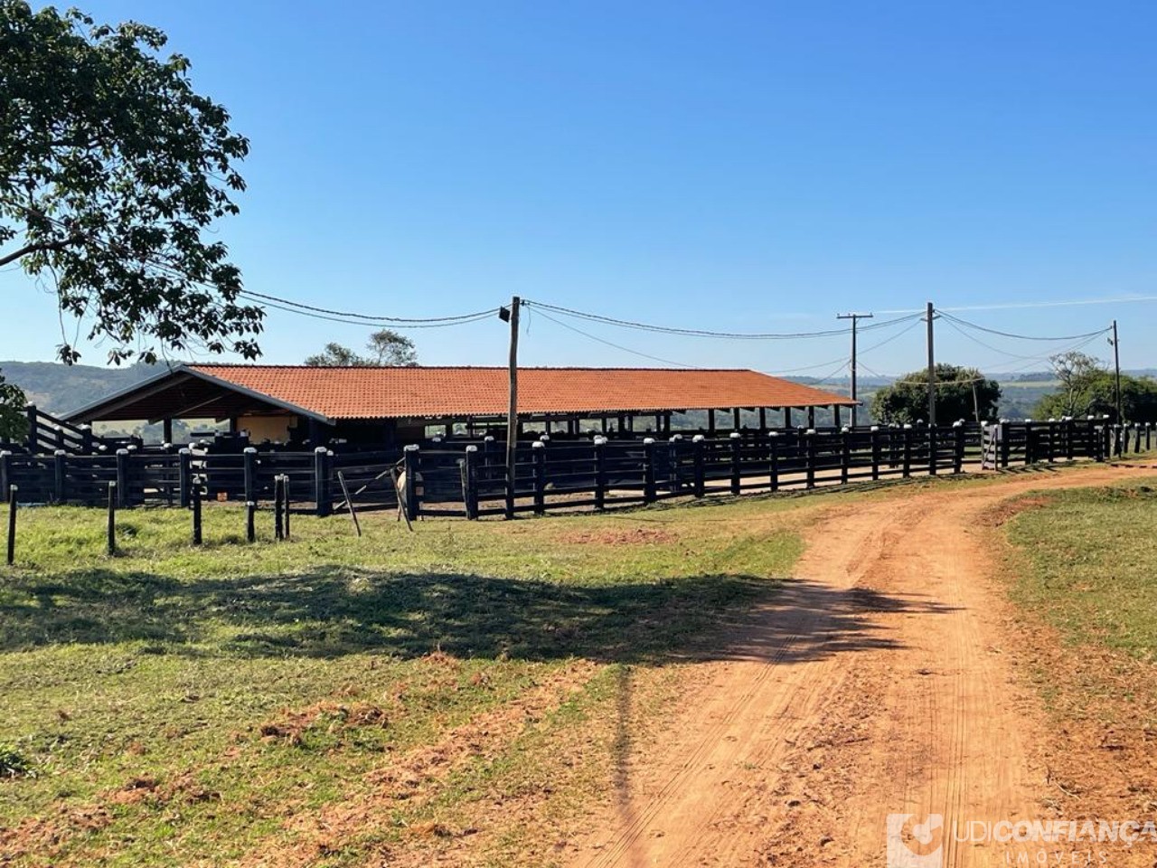 Fazenda à venda - Foto 6